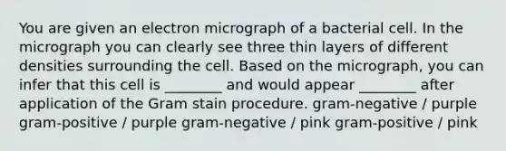 You are given an electron micrograph of a bacterial cell. In the micrograph you can clearly see three thin layers of different densities surrounding the cell. Based on the micrograph, you can infer that this cell is ________ and would appear ________ after application of the Gram stain procedure. gram-negative / purple gram-positive / purple gram-negative / pink gram-positive / pink