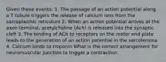 Given these events: 1. The passage of an action potential along a T tubule triggers the release of calcium ions from the sarcoplasmic reticulum 2. When an action potential arrives at the axon terminal, acetylcholine (Ach) is released into the synaptic cleft 3. The binding of ACh to receptors on the motor end plate leads to the generation of an action potential in the sarcolemma 4. Calcium binds to troponin What is the correct arrangement for neuromuscular junction to trigger a contraction.