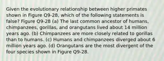 Given the evolutionary relationship between higher primates shown in Figure Q9-28, which of the following statements is false? Figure Q9-28 (a) The last common ancestor of humans, chimpanzees, gorillas, and orangutans lived about 14 million years ago. (b) Chimpanzees are more closely related to gorillas than to humans. (c) Humans and chimpanzees diverged about 6 million years ago. (d) Orangutans are the most divergent of the four species shown in Figure Q9-28.