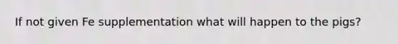 If not given Fe supplementation what will happen to the pigs?