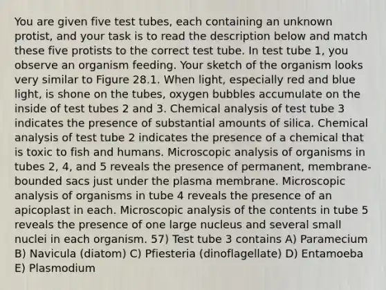 You are given five test tubes, each containing an unknown protist, and your task is to read the description below and match these five protists to the correct test tube. In test tube 1, you observe an organism feeding. Your sketch of the organism looks very similar to Figure 28.1. When light, especially red and blue light, is shone on the tubes, oxygen bubbles accumulate on the inside of test tubes 2 and 3. Chemical analysis of test tube 3 indicates the presence of substantial amounts of silica. Chemical analysis of test tube 2 indicates the presence of a chemical that is toxic to fish and humans. Microscopic analysis of organisms in tubes 2, 4, and 5 reveals the presence of permanent, membrane-bounded sacs just under the plasma membrane. Microscopic analysis of organisms in tube 4 reveals the presence of an apicoplast in each. Microscopic analysis of the contents in tube 5 reveals the presence of one large nucleus and several small nuclei in each organism. 57) Test tube 3 contains A) Paramecium B) Navicula (diatom) C) Pfiesteria (dinoflagellate) D) Entamoeba E) Plasmodium