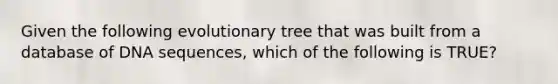 Given the following evolutionary tree that was built from a database of DNA sequences, which of the following is TRUE?