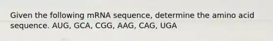 Given the following mRNA sequence, determine the amino acid sequence. AUG, GCA, CGG, AAG, CAG, UGA