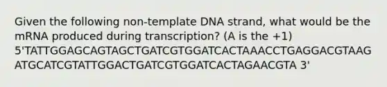 Given the following non-template DNA strand, what would be the mRNA produced during transcription? (A is the +1) 5'TATTGGAGCAGTAGCTGATCGTGGATCACTAAACCTGAGGACGTAAGATGCATCGTATTGGACTGATCGTGGATCACTAGAACGTA 3'