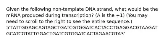 Given the following non-template DNA strand, what would be the mRNA produced during transcription? (A is the +1) (You may need to scroll to the right to see the entire sequence.) 5'TATTGGAGCAGTAGCTGATCGTGGATCACTACCTGAGGACGTAAGATGCATCGTATTGGACTGATCGTGGATCACTAGAACGTA3'