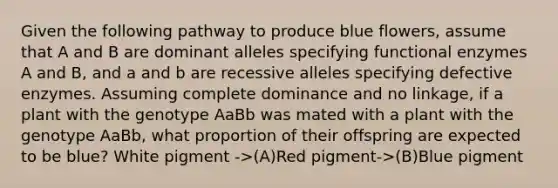 Given the following pathway to produce blue flowers, assume that A and B are dominant alleles specifying functional enzymes A and B, and a and b are recessive alleles specifying defective enzymes. Assuming complete dominance and no linkage, if a plant with the genotype AaBb was mated with a plant with the genotype AaBb, what proportion of their offspring are expected to be blue? White pigment ->(A)Red pigment->(B)Blue pigment