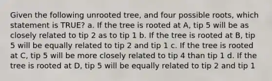 Given the following unrooted tree, and four possible roots, which statement is TRUE? a. If the tree is rooted at A, tip 5 will be as closely related to tip 2 as to tip 1 b. If the tree is rooted at B, tip 5 will be equally related to tip 2 and tip 1 c. If the tree is rooted at C, tip 5 will be more closely related to tip 4 than tip 1 d. If the tree is rooted at D, tip 5 will be equally related to tip 2 and tip 1