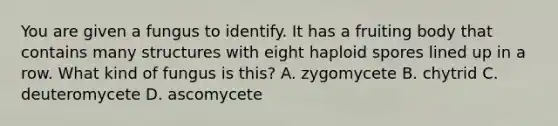 You are given a fungus to identify. It has a fruiting body that contains many structures with eight haploid spores lined up in a row. What kind of fungus is this? A. zygomycete B. chytrid C. deuteromycete D. ascomycete