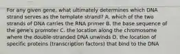 For any given gene, what ultimately determines which DNA strand serves as the template strand? A. which of the two strands of DNA carries the RNA primer B. the base sequence of the gene's promoter C. the location along the chromosome where the double-stranded DNA unwinds D. the location of specific proteins (transcription factors) that bind to the DNA