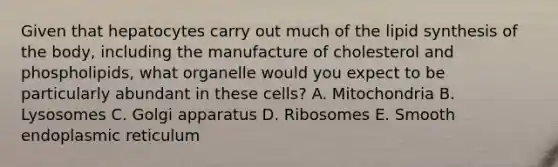 Given that hepatocytes carry out much of the lipid synthesis of the body, including the manufacture of cholesterol and phospholipids, what organelle would you expect to be particularly abundant in these cells? A. Mitochondria B. Lysosomes C. Golgi apparatus D. Ribosomes E. Smooth endoplasmic reticulum