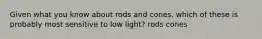 Given what you know about rods and cones, which of these is probably most sensitive to low light? rods cones