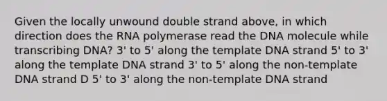 Given the locally unwound double strand above, in which direction does the RNA polymerase read the DNA molecule while transcribing DNA? 3' to 5' along the template DNA strand 5' to 3' along the template DNA strand 3' to 5' along the non-template DNA strand D 5' to 3' along the non-template DNA strand