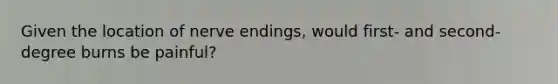 Given the location of nerve endings, would first- and second-degree burns be painful?