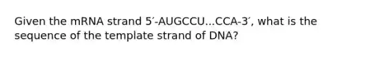 Given the mRNA strand 5′-AUGCCU...CCA-3′, what is the sequence of the template strand of DNA?