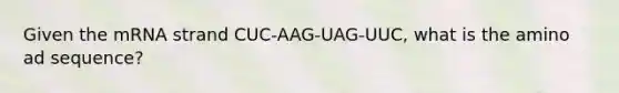 Given the mRNA strand CUC-AAG-UAG-UUC, what is the amino ad sequence?