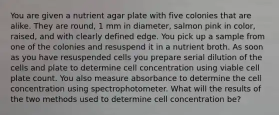 You are given a nutrient agar plate with five colonies that are alike. They are round, 1 mm in diameter, salmon pink in color, raised, and with clearly defined edge. You pick up a sample from one of the colonies and resuspend it in a nutrient broth. As soon as you have resuspended cells you prepare serial dilution of the cells and plate to determine cell concentration using viable cell plate count. You also measure absorbance to determine the cell concentration using spectrophotometer. What will the results of the two methods used to determine cell concentration be?