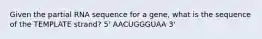 Given the partial RNA sequence for a gene, what is the sequence of the TEMPLATE strand? 5' AACUGGGUAA 3'