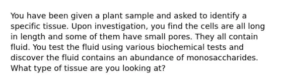 You have been given a plant sample and asked to identify a specific tissue. Upon investigation, you find the cells are all long in length and some of them have small pores. They all contain fluid. You test the fluid using various biochemical tests and discover the fluid contains an abundance of monosaccharides. What type of tissue are you looking at?