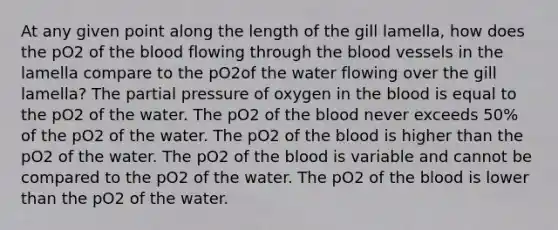 At any given point along the length of the gill lamella, how does the pO2 of the blood flowing through the blood vessels in the lamella compare to the pO2of the water flowing over the gill lamella? The partial pressure of oxygen in the blood is equal to the pO2 of the water. The pO2 of the blood never exceeds 50% of the pO2 of the water. The pO2 of the blood is higher than the pO2 of the water. The pO2 of the blood is variable and cannot be compared to the pO2 of the water. The pO2 of the blood is lower than the pO2 of the water.