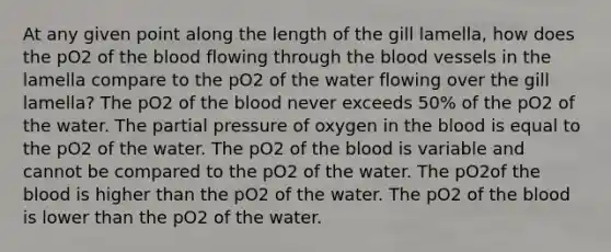 At any given point along the length of the gill lamella, how does the pO2 of the blood flowing through the blood vessels in the lamella compare to the pO2 of the water flowing over the gill lamella? The pO2 of the blood never exceeds 50% of the pO2 of the water. The partial pressure of oxygen in the blood is equal to the pO2 of the water. The pO2 of the blood is variable and cannot be compared to the pO2 of the water. The pO2of the blood is higher than the pO2 of the water. The pO2 of the blood is lower than the pO2 of the water.