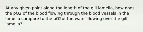 At any given point along the length of the gill lamella, how does the pO2 of the blood flowing through the blood vessels in the lamella compare to the pO2of the water flowing over the gill lamella?