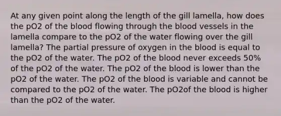 At any given point along the length of the gill lamella, how does the pO2 of the blood flowing through the blood vessels in the lamella compare to the pO2 of the water flowing over the gill lamella? The partial pressure of oxygen in the blood is equal to the pO2 of the water. The pO2 of the blood never exceeds 50% of the pO2 of the water. The pO2 of the blood is lower than the pO2 of the water. The pO2 of the blood is variable and cannot be compared to the pO2 of the water. The pO2of the blood is higher than the pO2 of the water.