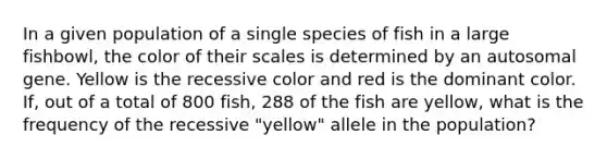 In a given population of a single species of fish in a large fishbowl, the color of their scales is determined by an autosomal gene. Yellow is the recessive color and red is the dominant color. If, out of a total of 800 fish, 288 of the fish are yellow, what is the frequency of the recessive "yellow" allele in the population?