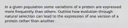 In a given population some variations of a protein are expressed more frequently than others. Outline how evolution through natural selection can lead to the expression of one version of a protein rather than another.