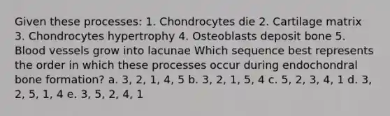 Given these processes: 1. Chondrocytes die 2. Cartilage matrix 3. Chondrocytes hypertrophy 4. Osteoblasts deposit bone 5. Blood vessels grow into lacunae Which sequence best represents the order in which these processes occur during endochondral bone formation? a. 3, 2, 1, 4, 5 b. 3, 2, 1, 5, 4 c. 5, 2, 3, 4, 1 d. 3, 2, 5, 1, 4 e. 3, 5, 2, 4, 1