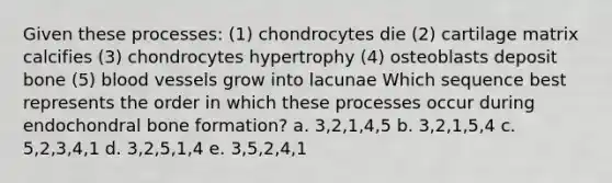 Given these processes: (1) chondrocytes die (2) cartilage matrix calcifies (3) chondrocytes hypertrophy (4) osteoblasts deposit bone (5) blood vessels grow into lacunae Which sequence best represents the order in which these processes occur during endochondral bone formation? a. 3,2,1,4,5 b. 3,2,1,5,4 c. 5,2,3,4,1 d. 3,2,5,1,4 e. 3,5,2,4,1