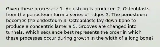 Given these processes: 1. An osteon is produced 2. Osteoblasts from the periosteum form a series of ridges 3. The periosteum becomes the endosteum 4. Osteoblasts lay down bone to produce a concentric lamella 5. Grooves are changed into tunnels. Which sequence best represents the order in which these processes occur during growth in the width of a long bone?