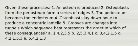 Given these processes: 1. An osteon is produced 2. Osteoblasts from the periosteum form a series of ridges 3. The periosteum becomes the endosteum 4. Osteoblasts lay down bone to produce a concentric lamella 5. Grooves are changes into tunnels Which sequence best represents the order in which of these consequences? a. 1,4,2,3,5 b. 2,5,3,4,1 c. 3,4,2,1,5 d. 4,2,1,5,3 e. 5,4,2,1,3