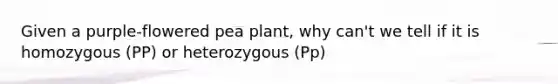 Given a purple-flowered pea plant, why can't we tell if it is homozygous (PP) or heterozygous (Pp)