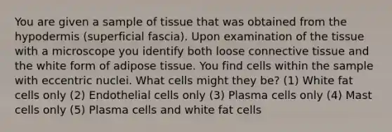 You are given a sample of tissue that was obtained from <a href='https://www.questionai.com/knowledge/ktsCAWWU5U-the-hypodermis' class='anchor-knowledge'>the hypodermis</a> (superficial fascia). Upon examination of the tissue with a microscope you identify both loose <a href='https://www.questionai.com/knowledge/kYDr0DHyc8-connective-tissue' class='anchor-knowledge'>connective tissue</a> and the white form of adipose tissue. You find cells within the sample with eccentric nuclei. What cells might they be? (1) White fat cells only (2) Endothelial cells only (3) Plasma cells only (4) Mast cells only (5) Plasma cells and white fat cells