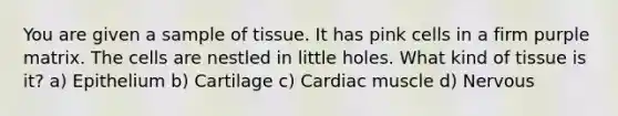 You are given a sample of tissue. It has pink cells in a firm purple matrix. The cells are nestled in little holes. What kind of tissue is it? a) Epithelium b) Cartilage c) Cardiac muscle d) Nervous