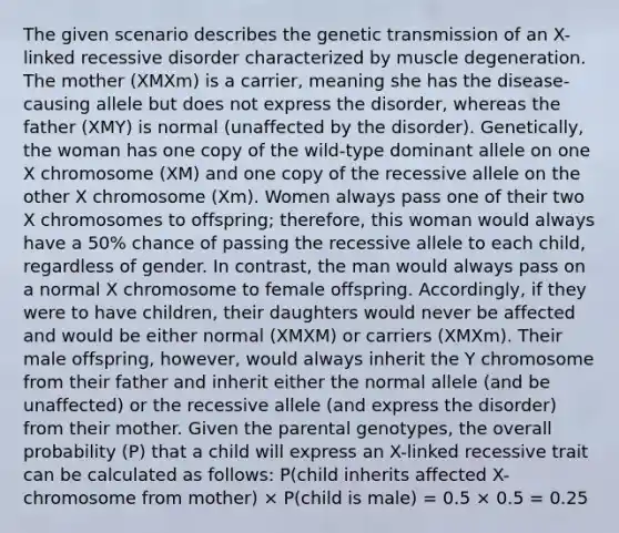 The given scenario describes the genetic transmission of an X-linked recessive disorder characterized by muscle degeneration. The mother (XMXm) is a carrier, meaning she has the disease-causing allele but does not express the disorder, whereas the father (XMY) is normal (unaffected by the disorder). Genetically, the woman has one copy of the wild-type dominant allele on one X chromosome (XM) and one copy of the recessive allele on the other X chromosome (Xm). Women always pass one of their two X chromosomes to offspring; therefore, this woman would always have a 50% chance of passing the recessive allele to each child, regardless of gender. In contrast, the man would always pass on a normal X chromosome to female offspring. Accordingly, if they were to have children, their daughters would never be affected and would be either normal (XMXM) or carriers (XMXm). Their male offspring, however, would always inherit the Y chromosome from their father and inherit either the normal allele (and be unaffected) or the recessive allele (and express the disorder) from their mother. Given the parental genotypes, the overall probability (P) that a child will express an X-linked recessive trait can be calculated as follows: P(child inherits affected X-chromosome from mother) × P(child is male) = 0.5 × 0.5 = 0.25