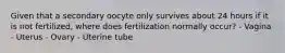 Given that a secondary oocyte only survives about 24 hours if it is not fertilized, where does fertilization normally occur? - Vagina - Uterus - Ovary - Uterine tube