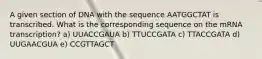 A given section of DNA with the sequence AATGGCTAT is transcribed. What is the corresponding sequence on the mRNA transcription? a) UUACCGAUA b) TTUCCGATA c) TTACCGATA d) UUGAACGUA e) CCGTTAGCT