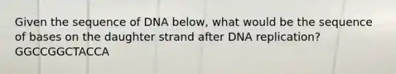 Given the sequence of DNA below, what would be the sequence of bases on the daughter strand after DNA replication? GGCCGGCTACCA