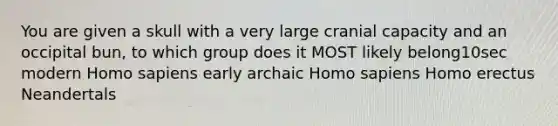 You are given a skull with a very large cranial capacity and an occipital bun, to which group does it MOST likely belong10sec modern Homo sapiens early archaic Homo sapiens Homo erectus Neandertals