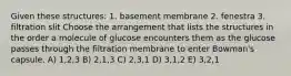 Given these structures: 1. basement membrane 2. fenestra 3. filtration slit Choose the arrangement that lists the structures in the order a molecule of glucose encounters them as the glucose passes through the filtration membrane to enter Bowman's capsule. A) 1,2,3 B) 2,1,3 C) 2,3,1 D) 3,1,2 E) 3,2,1