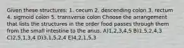 Given these structures: 1. cecum 2. descending colon 3. rectum 4. sigmoid colon 5. transverse colon Choose the arrangement that lists the structures in the order food passes through them from the small intestine to the anus. A)1,2,3,4,5 B)1,5,2,4,3 C)2,5,1,3,4 D)3,1,5,2,4 E)4,2,1,5,3