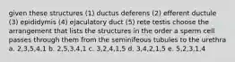 given these structures (1) ductus deferens (2) efferent ductule (3) epididymis (4) ejaculatory duct (5) rete testis choose the arrangement that lists the structures in the order a sperm cell passes through them from the seminifeous tubules to the urethra a. 2,3,5,4,1 b. 2,5,3,4,1 c. 3,2,4,1,5 d. 3,4,2,1,5 e. 5,2,3,1,4