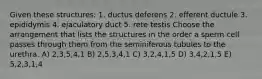 Given these structures: 1. ductus deferens 2. efferent ductule 3. epididymis 4. ejaculatory duct 5. rete testis Choose the arrangement that lists the structures in the order a sperm cell passes through them from the seminiferous tubules to the urethra. A) 2,3,5,4,1 B) 2,5,3,4,1 C) 3,2,4,1,5 D) 3,4,2,1,5 E) 5,2,3,1,4