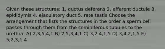 Given these structures: 1. ductus deferens 2. efferent ductule 3. epididymis 4. ejaculatory duct 5. rete testis Choose the arrangement that lists the structures in the order a sperm cell passes through them from the seminiferous tubules to the urethra. A) 2,3,5,4,1 B) 2,5,3,4,1 C) 3,2,4,1,5 D) 3,4,2,1,5 E) 5,2,3,1,4