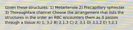 Given these structures: 1) Metarteriole 2) Precapillary sphincter 3) Thoroughfare channel Choose the arrangement that lists the structures in the order an RBC encounters them as it passes through a tissue A) 1, 3,2 B) 2,1,3 C) 2, 3,1 D) 3,1,2 E) 3,2,1