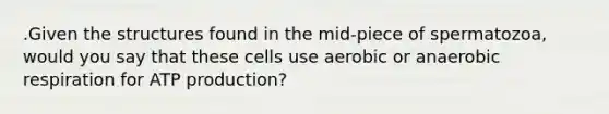 .Given the structures found in the mid-piece of spermatozoa, would you say that these cells use aerobic or anaerobic respiration for ATP production?