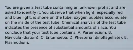 You are given a test tube containing an unknown protist and are asked to identify it. You observe that when light, especially red and blue light, is shone on the tube, oxygen bubbles accumulate on the inside of the test tube. Chemical analysis of the test tube indicates the presence of substantial amounts of silica. You conclude that your test tube contains: A. Paramecium. B. Navicula (diatom). C. Entamoeba. D. Pfiesteria (dinoflagellate). E. Plasmodium.