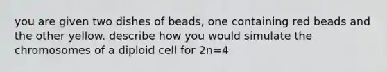 you are given two dishes of beads, one containing red beads and the other yellow. describe how you would simulate the chromosomes of a diploid cell for 2n=4