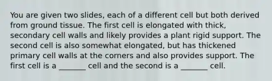 You are given two slides, each of a different cell but both derived from ground tissue. The first cell is elongated with thick, secondary cell walls and likely provides a plant rigid support. The second cell is also somewhat elongated, but has thickened primary cell walls at the corners and also provides support. The first cell is a _______ cell and the second is a _______ cell.